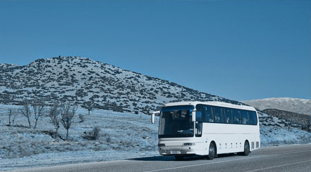 Touristikunternehmen, Busreiseunternehmen